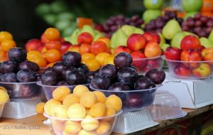 کاهش قیمت میوه های نوبرانه در راه است